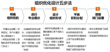 管理升級落地咨詢服務 組織設計與權責體系的系統構建與實務推進